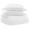 vidaXL Talve tek padjaga 3 pcs Valge Down Feather