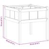 vidaXL Aia istutuspot Loodus 70 x 70 x 70 cm Tahke m&auml;nd