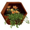 vidaXL seina taimekastid 2 tk, rooste, Corten teras, 30x10x25 cm