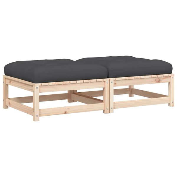 vidaXL aiajalapingid patjadega, 2 tk, männipuit