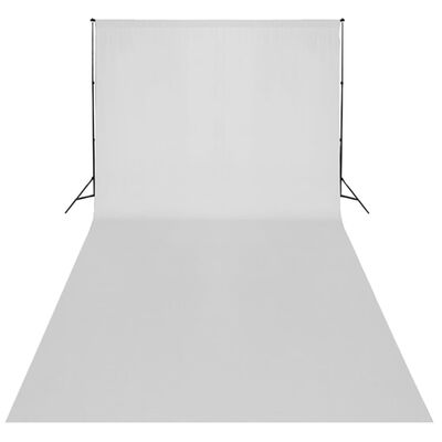 vidaXL stuudiokomplekt valge taustaga 600 x 300 cm ja valgustitega