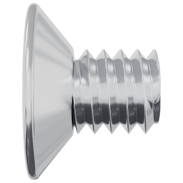 vidaXL S&uuml;vistatud peaga kruvid 2 pcs H&otilde;bedane M4 x 6 mm Teras