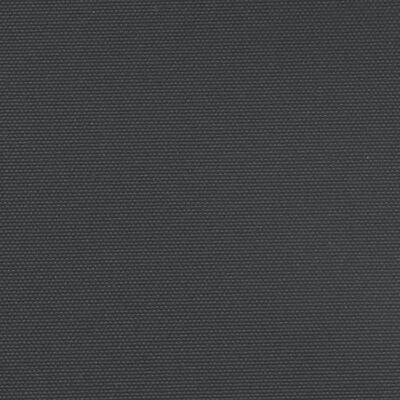 vidaXL lahtitõmmatav külgsein, must, 160 x 1200 cm