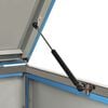 Toote pisipilt  9 / 12