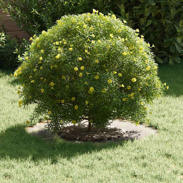 vidaXL sobiv lame puu rõngale Hõbedane Ø30 / 60 cm Roostevaba teras