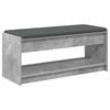 vidaXL Hallipink padjaga riiuliga BetoonHall 103 x 38 x 45 cm