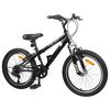 vidaXL Kids Mountain Bike 20 Tolli 6-Speed 5-8 aastastele Must