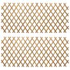 vidaXL Laienev rippai 2 tk 100 x 105 cm Bambus Helepruun