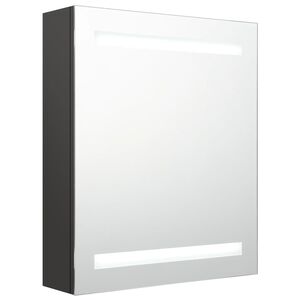 vidaXL LED vannitoa peegelkapp, antratsiithall, 50 x 14 x 60 cm