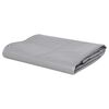 vidaXL present 650 g/m&sup2; 4x6 m hall