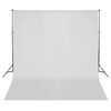 vidaXL fotostuudiokomplekt valgustuse ja taustapildiga