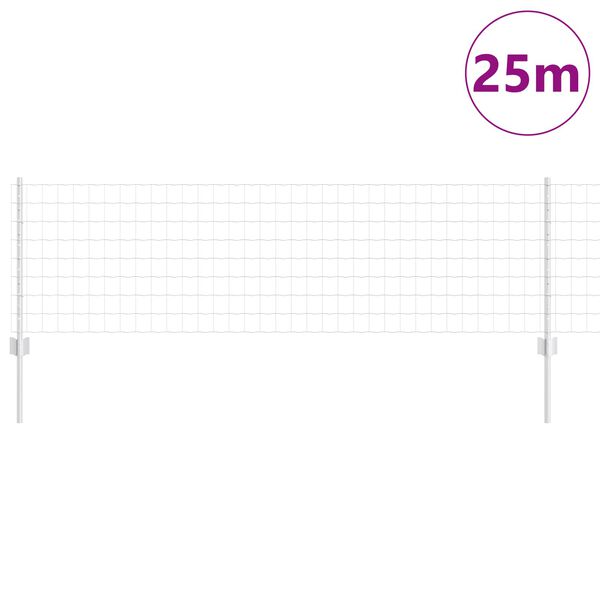 vidaXL Aed ja post H&otilde;bedane 0,6 x 25 m Teras