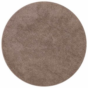 vidaXL Libisemisvastane Shaggy Vaip Pruun 160 x 160 cm PP
