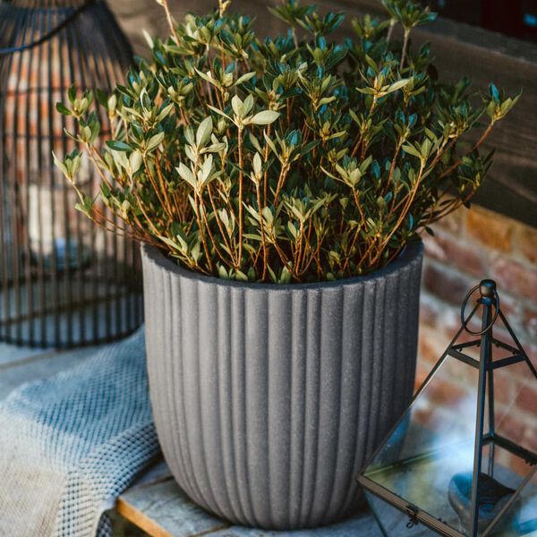 Capi munakujuline taimekast "Urban Tube" 35x34 cm tumehall