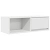 vidaXL telerikapp, valge, 80x31x25,5 cm, tehispuit