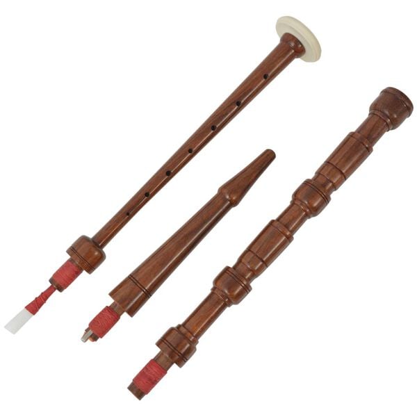 vidaXL laste &Scaron;oti torupill, roheline, must, &scaron;otiruuduline