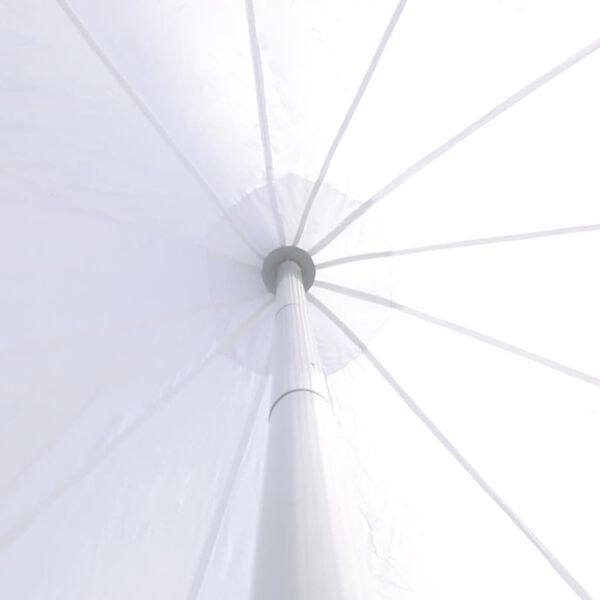 vidaXL varikatus kuusnurkne, aiapaviljon, 12 m