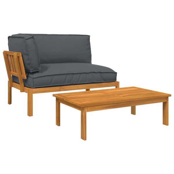 vidaXL Diivanikomplekt padjaga 2 pcs Antratsiit Tugev akatsiapuu
