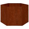 vidaXL taimekast, rooste, 60x60x45 cm, Corten teras