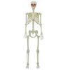 vidaXL Halloweeni Skeleton Valge 155 x 38.5 cm Plastmass