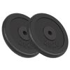 vidaXL kangi kettad, 2 tk, 2x20 kg, malm