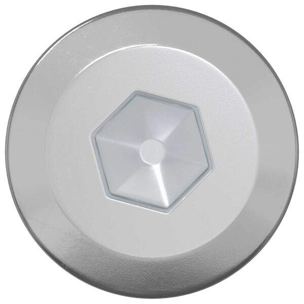 vidaXL Puidust Kruvid 12 pcs H&otilde;bedane M6 x 70 mm Teras