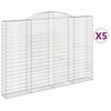 vidaXL kaarekujulised gabioonkorvid 5 tk, 300x30x200/220 cm, raud