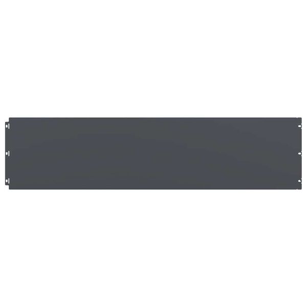 vidaXL muru&auml;&auml;red 20 tk antratsiit 25x103 cm k&uuml;lmvaltsitud teras