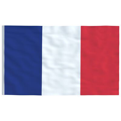 vidaXL Prantsusmaa lipp 90 x 150 cm