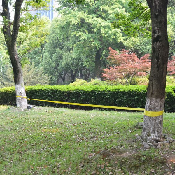 vidaXL slackline 15 m x 50 mm 150 kg kollane