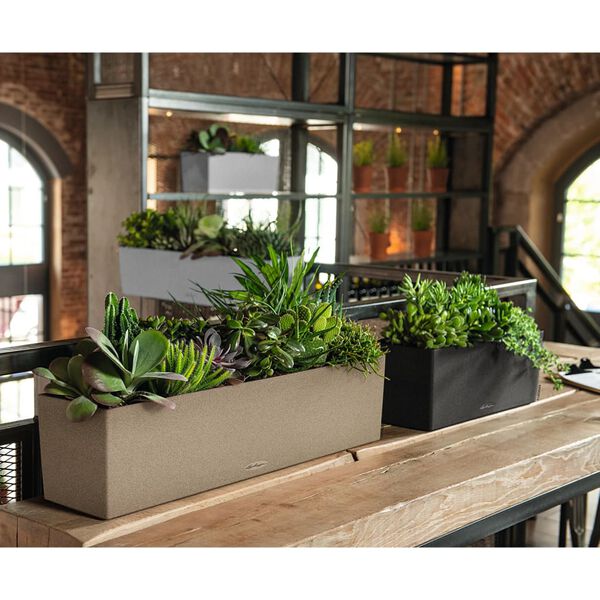 LECHUZA taimekast &bdquo;BALCONERA Stone 80 ALL-IN-ONE&rdquo; beež