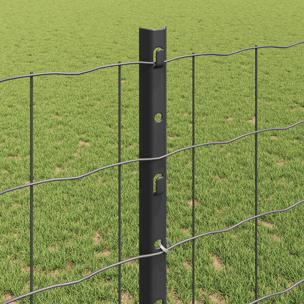 vidaXL Aed koos postiga Hall 1,2 x 25 m Teras