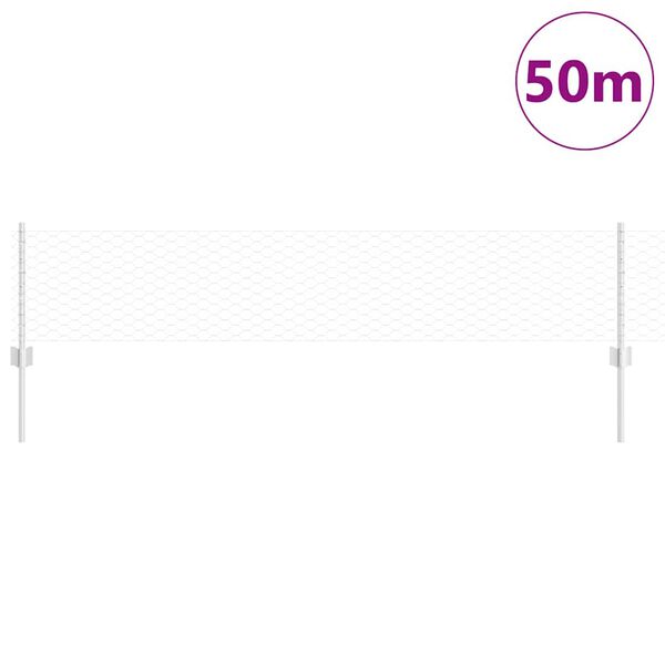 vidaXL Aed koos postiga H&otilde;bedane 0,4 x 50 m Teras