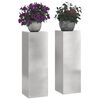 vidaXL Taimede alus 2 pcs H&otilde;bedane 24 x 24 x 75 cm Roostevaba teras