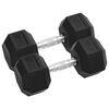 vidaXL hantlid 2 tk, 12,5 kg, t&auml;ismetallist