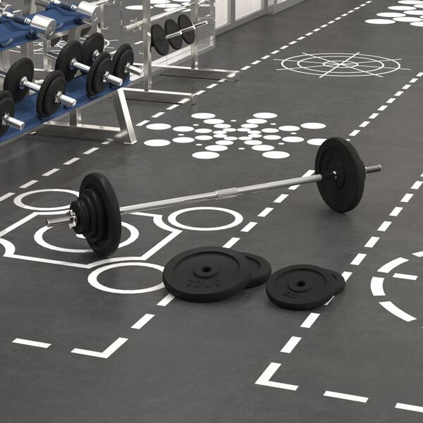 vidaXL raskuskang ketastega, 60 kg malm