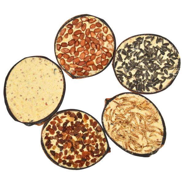 vidaXL linnutoiduga täidetud poolikud kookosed 10 tk, 290 g