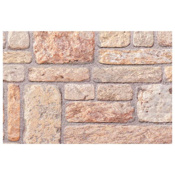 vidaXL Seinapaneelid 10 pcs Helepruun ja valge 100 x 50 cm EPS vaht