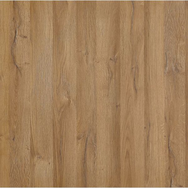 FMD seinariiul 9 sektsiooniga, anktiiktamm ja valge