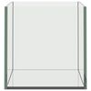 vidaXL Akvaarium ladustamisega L&auml;bipaistev 30 x 20 x 20 cm Klaas
