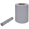 vidaXL aia privaatsuskate, PVC 70 x 0,19 m, helehall