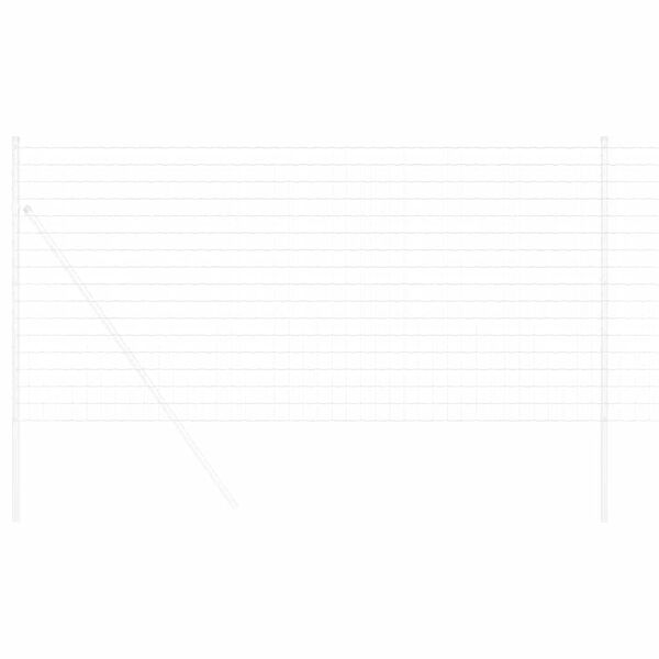 vidaXL Euroopa aed 1 x 25 m PVC-kaetud raud