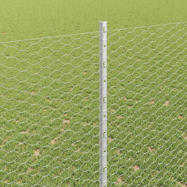 vidaXL Aed koos postiga H&otilde;bedane 1,5 x 50 m Teras