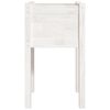 Toote pisipilt  5 / 8