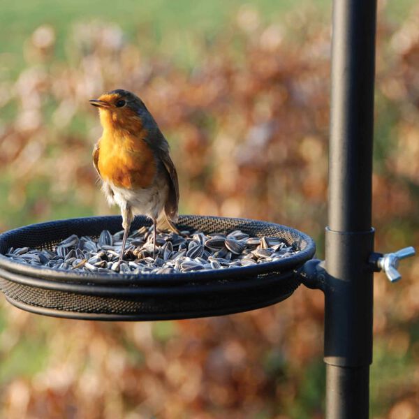 Esschert Design linnusöötmisalus FB150