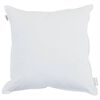 vidaXL Padi padjaga 2 pcs Valge 60 x 60 cm Puuvill