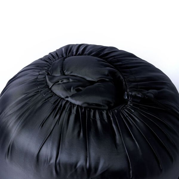 vidaXL kahekohaline magamiskott matkamiseks koos patjadega, 3-4 hooaeg