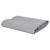 vidaXL present, 650 g/m&sup2; 1,5 x 10 m, hall