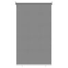 vidaXL V&auml;ljas ruloopimedus UV kaitse Helehall 100 x 230 cm (L x K)
