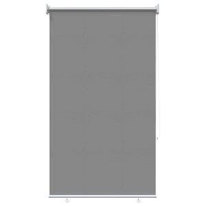 vidaXL V&auml;ljas ruloopimedus UV kaitse Helehall 100 x 230 cm (L x K)